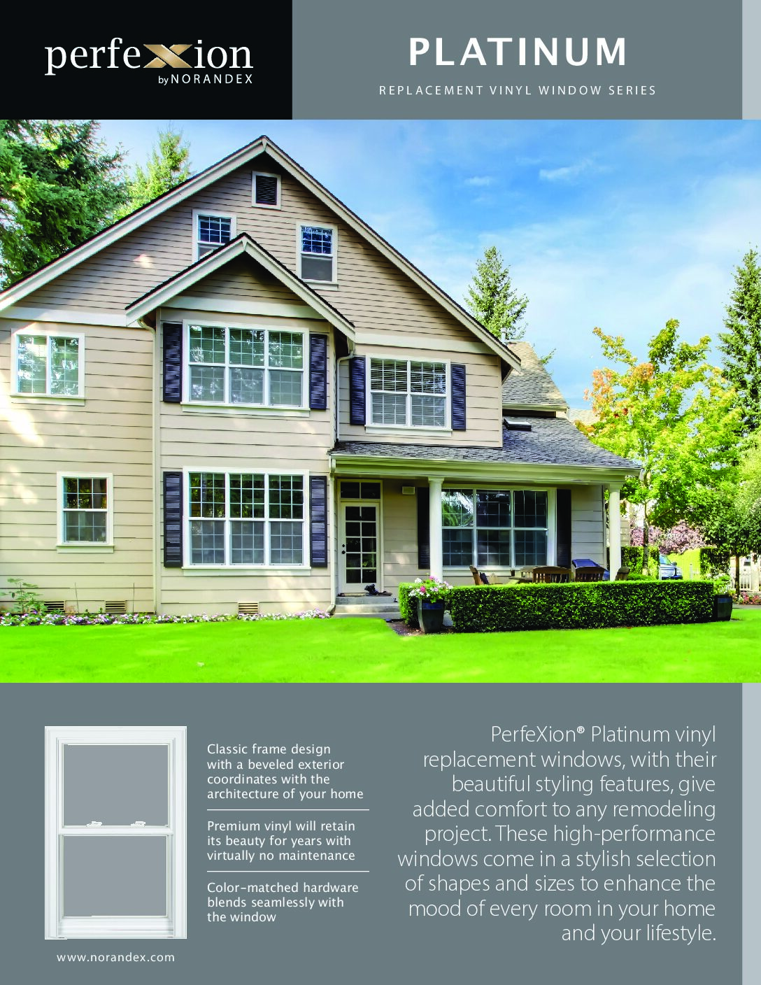 PerfeXion Platinum Brochure