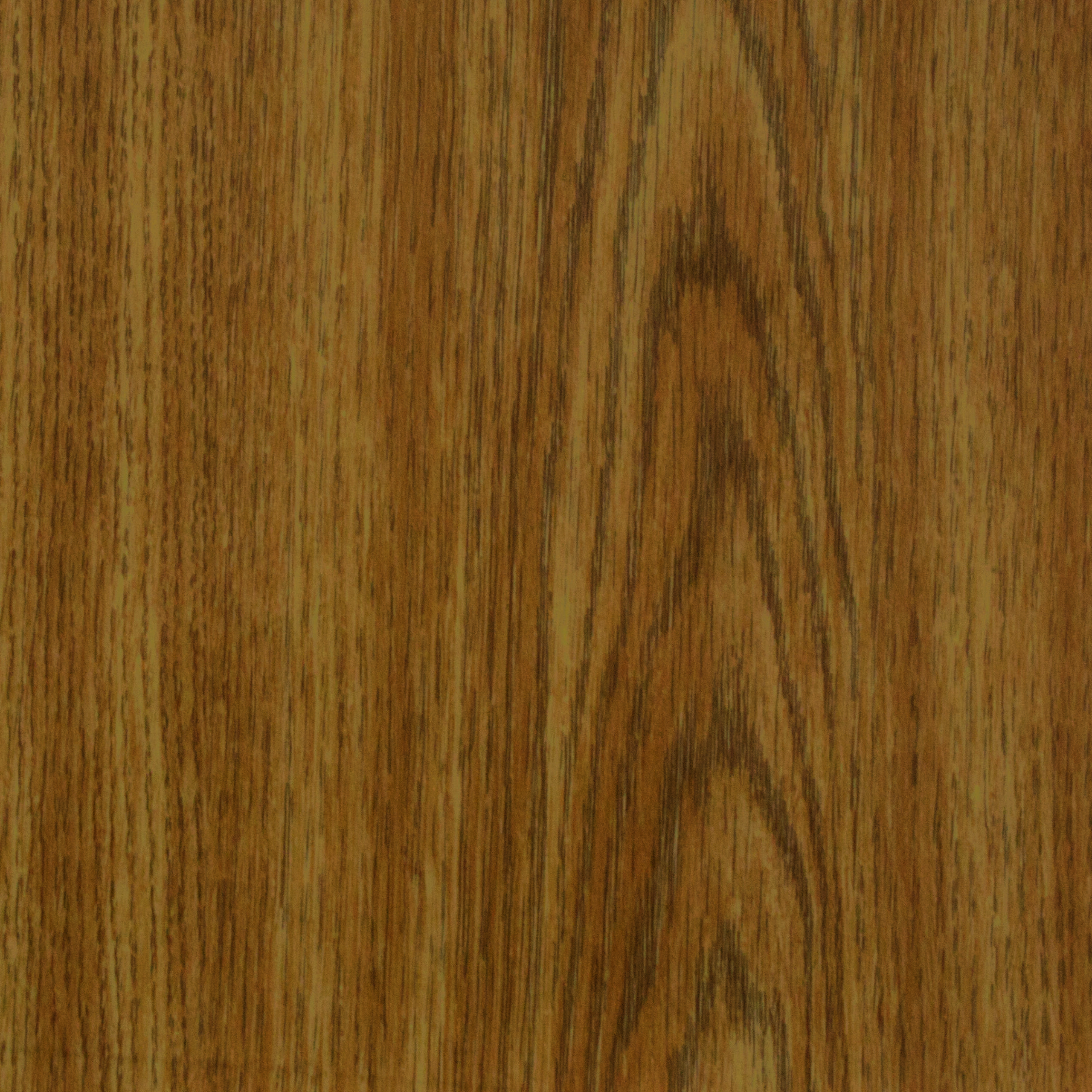 Hillside Oak